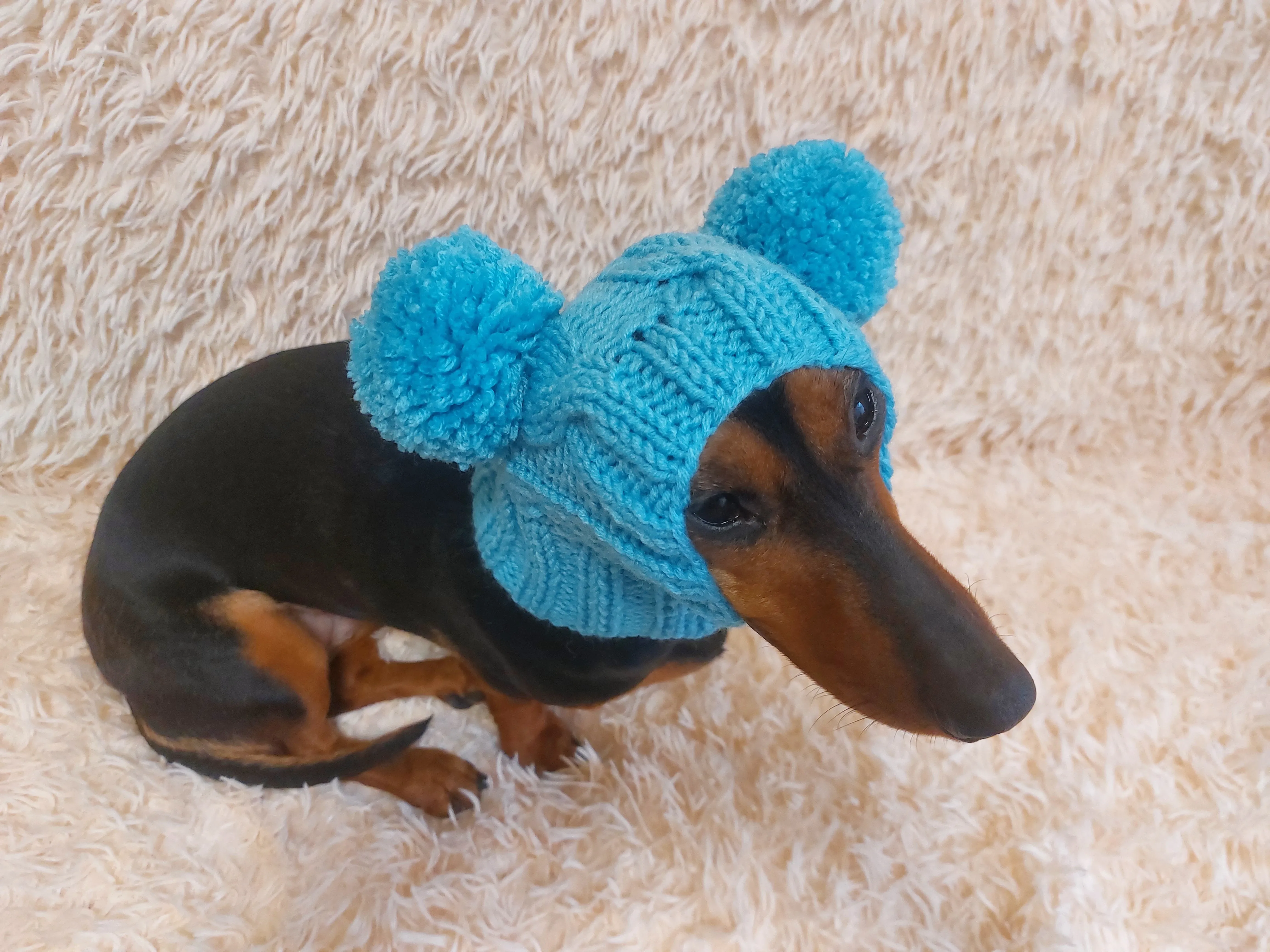 Hat for dog with two pompons, hat for dachshund with two pompons