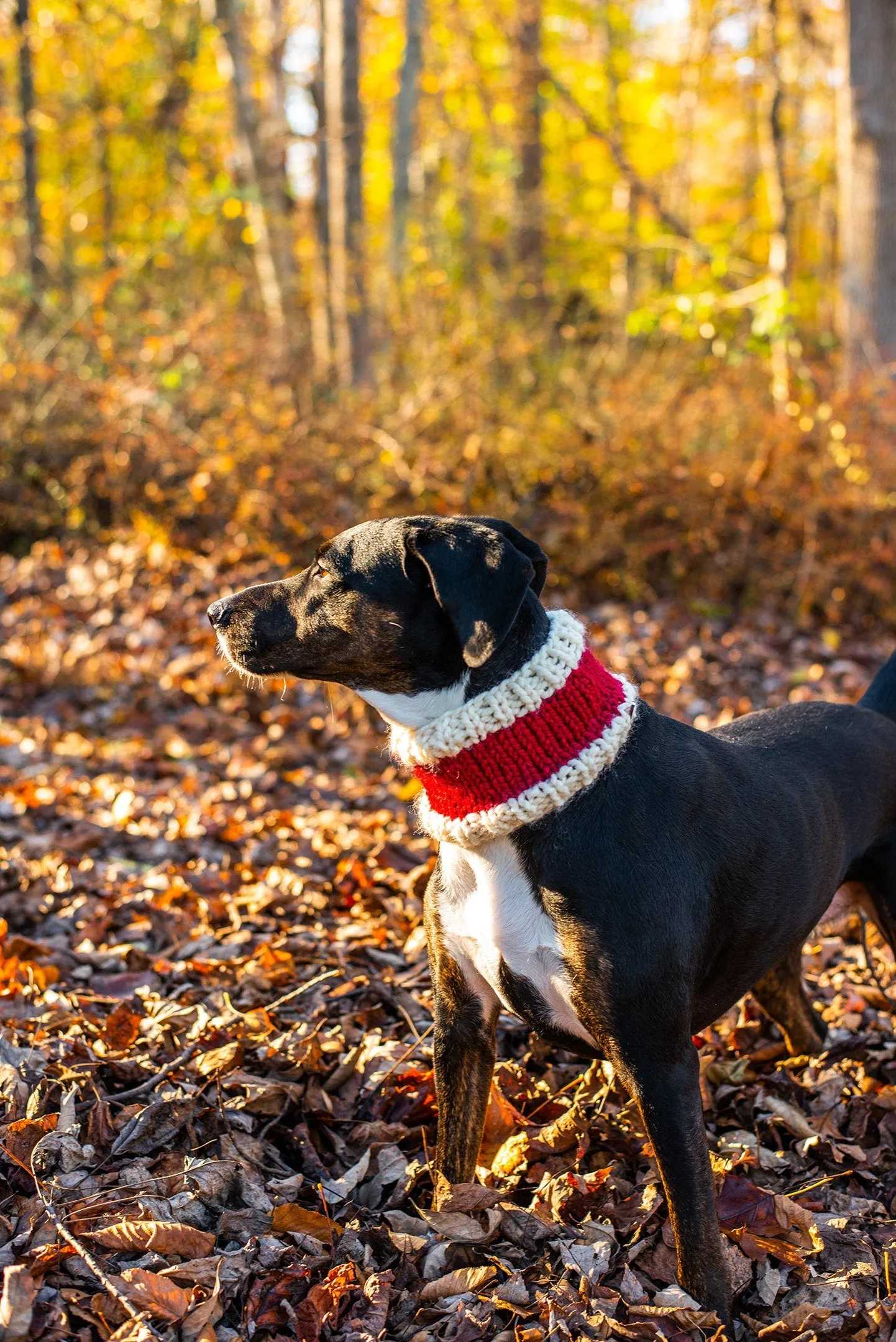 Matching Santa Beanie and Cowl Set