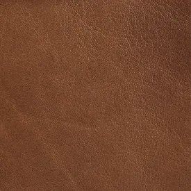 Soft Camel Fabric Swatch