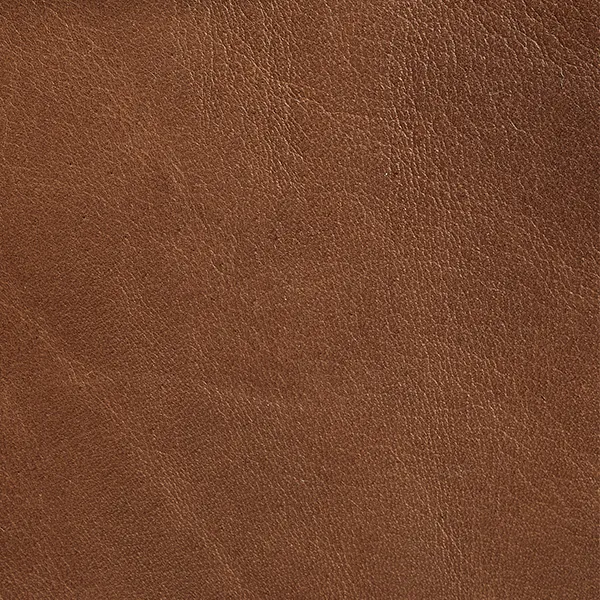 Soft Camel Fabric Swatch